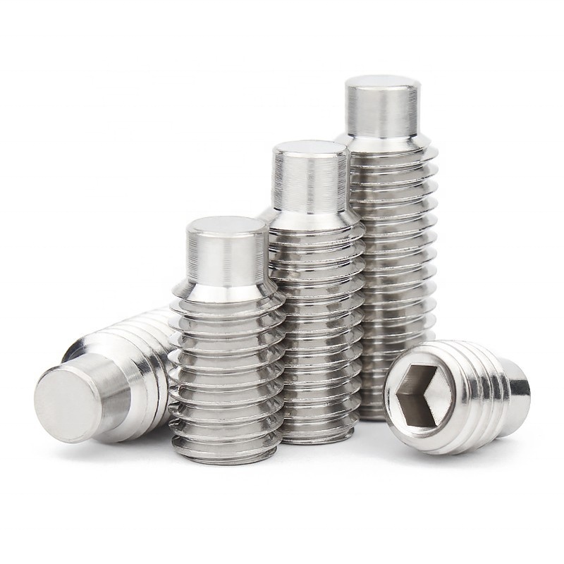 Tornillo para juego de puntas para perros con casquillo hexagonal DIN 915:1980