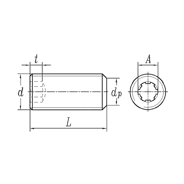 Tornillo de punta plana con casquillo hexagonal ASME/ANSI B18.3:2003