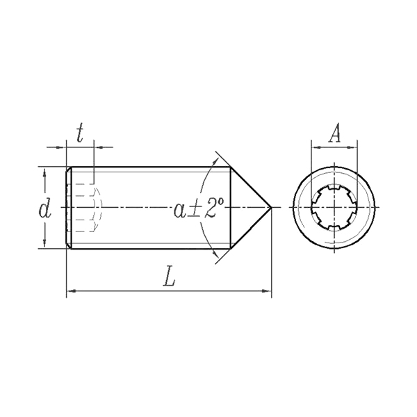 Tornillo de ajuste de punto cónico con zócalo hexagonal ASME/ANSI B18.3:2003